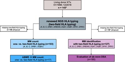 Extended genomic HLA typing identifies previously unrecognized mismatches in living kidney transplantation